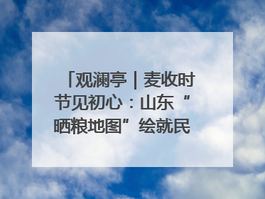 观澜亭｜麦收时节见初心：山东“晒粮地图”绘就民生温暖画卷