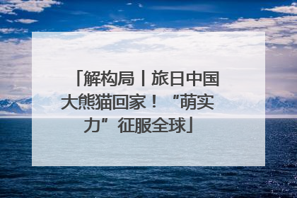 解构局丨旅日中国大熊猫回家！“萌实力”征服全球