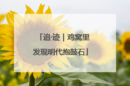 追·迹｜鸡窝里发现明代抱鼓石