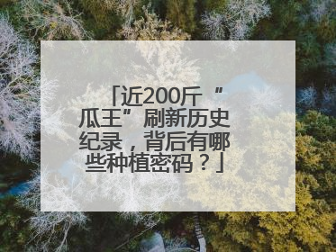 近200斤“瓜王”刷新历史纪录，背后有哪些种植密码？