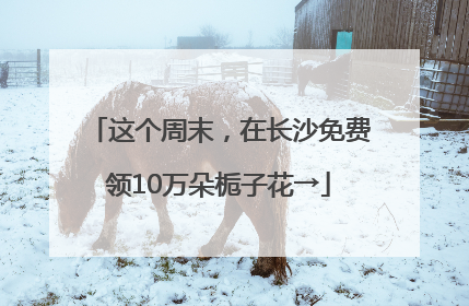 这个周末，在长沙免费领10万朵栀子花→