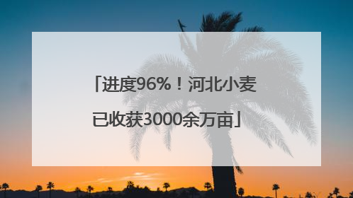 进度96%！河北小麦已收获3000余万亩