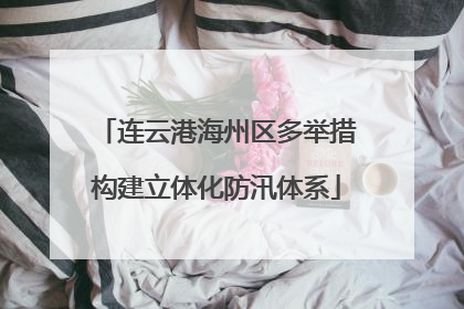 连云港海州区多举措构建立体化防汛体系