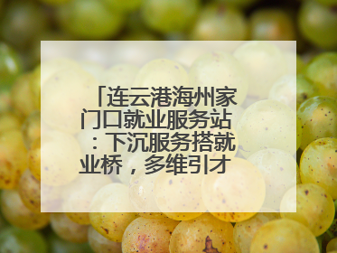连云港海州家门口就业服务站：下沉服务搭就业桥，多维引才聚发展动能