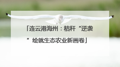 连云港海州：秸秆“逆袭”绘就生态农业新画卷