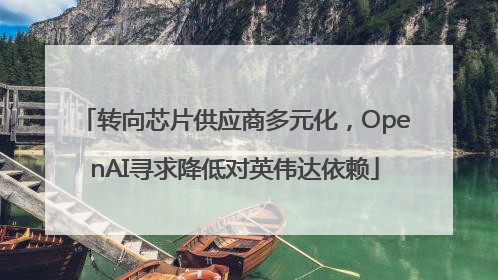 转向芯片供应商多元化，OpenAI寻求降低对英伟达依赖