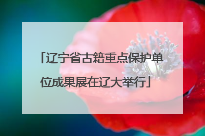 辽宁省古籍重点保护单位成果展在辽大举行