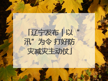 辽宁发布｜以“汛”为令 打好防灾减灾主动仗