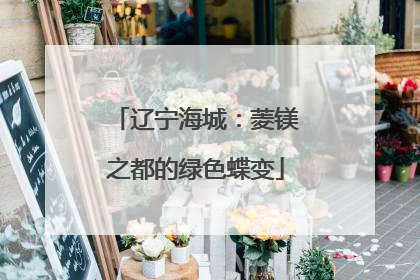辽宁海城：菱镁之都的绿色蝶变