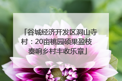 谷城经济开发区洞山寺村：20亩桃园硕果盈枝 奏响乡村丰收乐章