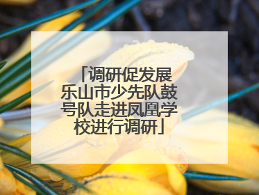 调研促发展 乐山市少先队鼓号队走进凤凰学校进行调研