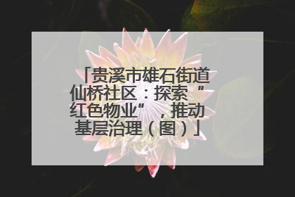 贵溪市雄石街道仙桥社区：探索“红色物业”，推动基层治理（图）