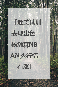 赴美试训表现出色 杨瀚森NBA选秀行情看涨