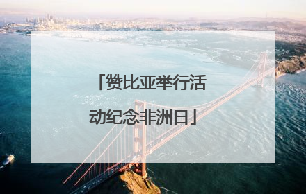 赞比亚举行活动纪念非洲日
