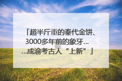 超半斤重的秦代金饼、3000多年前的象牙……成渝考古人“上新”