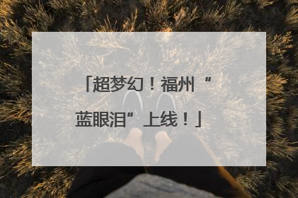 超梦幻！福州“蓝眼泪”上线！