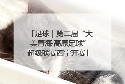 足球｜第二届“大美青海·高原足球”超级联赛西宁开赛