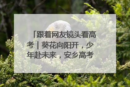 跟着网友镜头看高考｜葵花向阳开，少年赴未来，安乡高考首日的希望图景