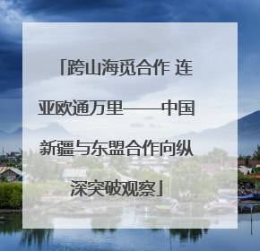 跨山海觅合作 连亚欧通万里——中国新疆与东盟合作向纵深突破观察