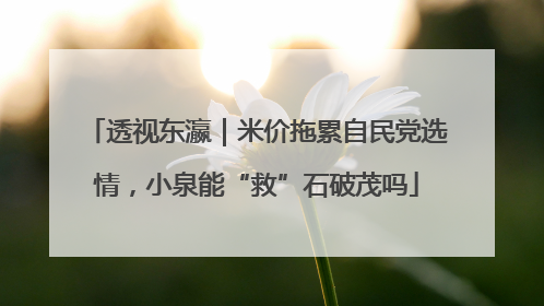 透视东瀛｜米价拖累自民党选情，小泉能“救”石破茂吗