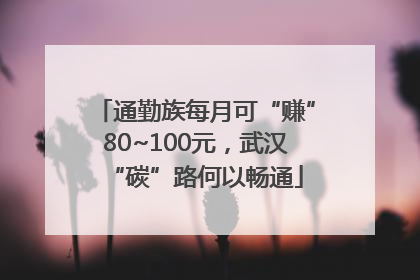 通勤族每月可“赚”80~100元，武汉“碳”路何以畅通