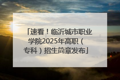速看！临沂城市职业学院2025年高职（专科）招生简章发布
