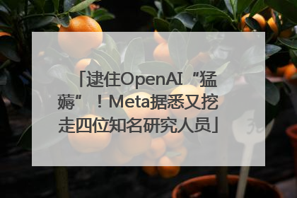 逮住OpenAI“猛薅”！Meta据悉又挖走四位知名研究人员