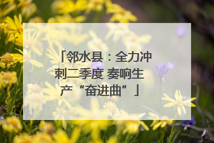 邻水县：全力冲刺二季度 奏响生产“奋进曲”