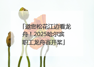 邀您松花江边看龙舟！2025哈尔滨职工龙舟赛开桨