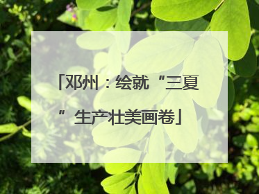邓州：绘就“三夏”生产壮美画卷