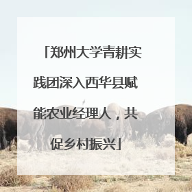 郑州大学青耕实践团深入西华县赋能农业经理人，共促乡村振兴