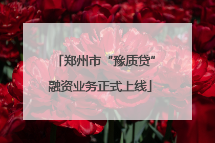 郑州市“豫质贷”融资业务正式上线