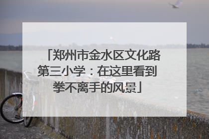 郑州市金水区文化路第三小学：在这里看到拳不离手的风景