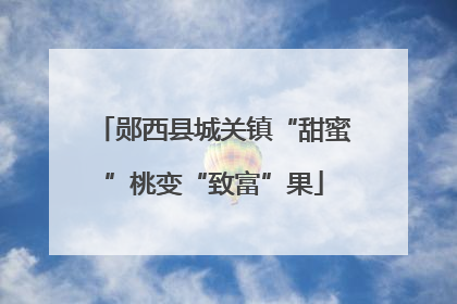 郧西县城关镇“甜蜜”桃变“致富”果