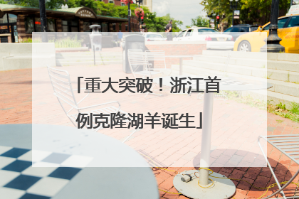 重大突破！浙江首例克隆湖羊诞生