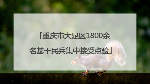 重庆市大足区1800余名基干民兵集中接受点验