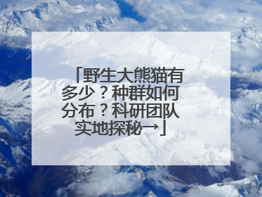 野生大熊猫有多少？种群如何分布？科研团队实地探秘→