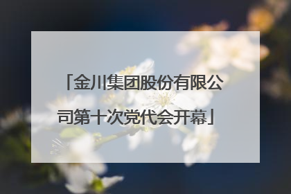 金川集团股份有限公司第十次党代会开幕