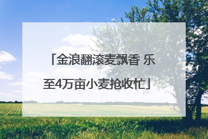 金浪翻滚麦飘香 乐至4万亩小麦抢收忙