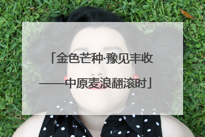 金色芒种·豫见丰收——中原麦浪翻滚时