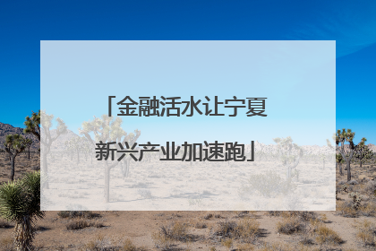 金融活水让宁夏新兴产业加速跑