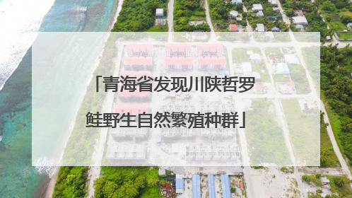 青海省发现川陕哲罗鲑野生自然繁殖种群