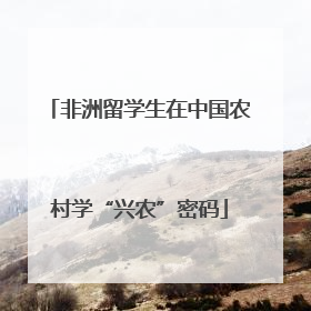 非洲留学生在中国农村学“兴农”密码