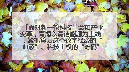 面对新一轮科技革命和产业变革，青海以清洁能源为主线，紧抓算力这个数字经济的“血液”、科技主权的“筹码”、产业升级的“杠杆”、绿色转型的“支点”，勇于撬动国家“双碳”战略、“东数西算”工程重大发展新机遇