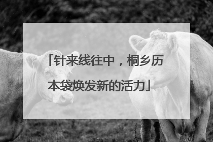 针来线往中，桐乡历本袋焕发新的活力