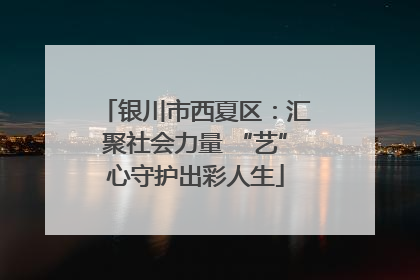 银川市西夏区：汇聚社会力量 “艺”心守护出彩人生