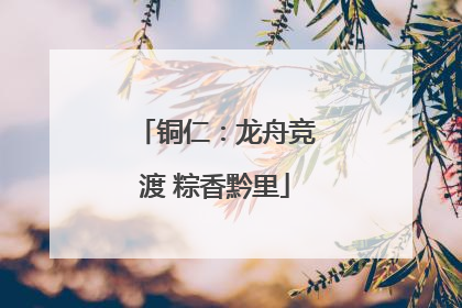 铜仁：龙舟竞渡 粽香黔里