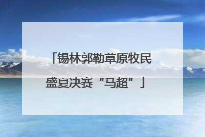 锡林郭勒草原牧民盛夏决赛“马超”