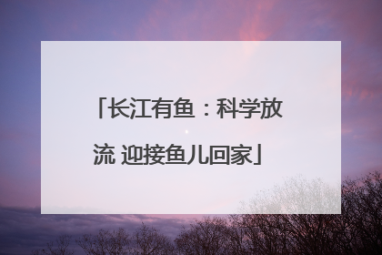 长江有鱼：科学放流 迎接鱼儿回家