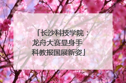 长沙科技学院：龙舟大赛显身手 科教报国展新姿